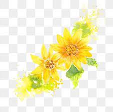 Watercolor Hand Drawn Yellow Chrysanthemum Chrysanthemum Yellow Flower Watercolor Hand Drawn Flower Hand Painted Flowers Paper Painting Watercolor Flower Png Flower Drawing Flower Crown Drawing Flower Illustration