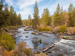 Blue dog rv bend oregon. 19 Greatest Hikes Near Bend Oregon Mike Laura Travel
