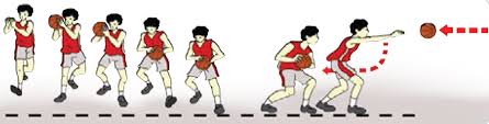 Lemparan pantulan sering disebut dengan istilah bound pass. Tehnik Dasar Permainan Bola Basket Lengkap Maolioka