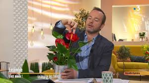 Le phénomène, peu pluvieux, a surtout généré des vents violents avec des rafales niran a causé de nombreux dégâts au réseau électrique et à la végétation. La Vraie Signification Des Fleurs Ensemble C Est Mieux Youtube