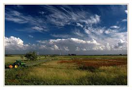 Maybe you would like to learn more about one of these? Schones Ostfriesland Foto Bild Landschaft Acker Felder Wiesen Natur Bilder Auf Fotocommunity