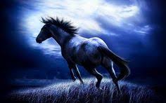 We did not find results for: Creative Fantasy Wallpapers Horse Unicorn And Black Image Ideas Inspiration On Designspiration