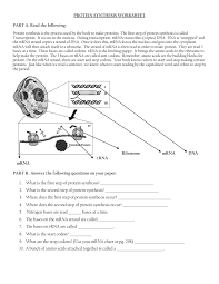 A description of how to read to genetic code, allowing you to translate an mrna molecule into an polypeptide (a chain of amino acids). Translation