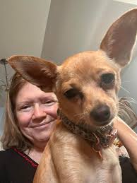 Sweet little Daisy 🌼