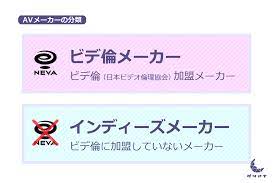 インディーズメーカーとは？AVメーカーによってモザイクの大きさが違う！? | AV鑑定団