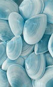Check spelling or type a new query. Blue Shells Wallpaper Blue Aesthetic Pastel Blue Aesthetic Light Blue Aesthetic
