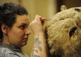 There's always more to explore at carnegie museum of natural history! Iconic Natural History Museum Exhibit Restored Reinterpreted Redisplayed Pittsburgh Post Gazette