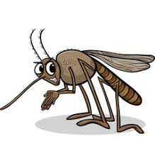 Mosquitoes Mosquito Drawing Vector Images Over 1 100 Collection of drawing ideas, how to draw tutorials. mosquitoes mosquito drawing vector