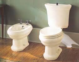 Bidets are not meant to be used instead of toilet paper rather. Buying Your First Bidet