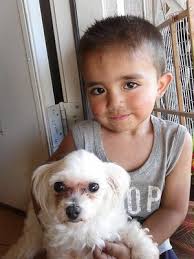 david barrientos gomez