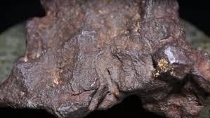 The meteoric iron is a part of the lamella taenite. Feber Om Meteorit Feber