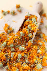 However, calendula flowers can be put to use in various other things as well. More Than Just A Garden Beauty How To Dry Use And Grow Calendula Garden Therapy