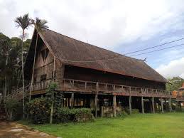 Tak heran wisatawan yang sedang ethnic runaway di kalbar salah satunya ada burung enggang gading yang menjadi simbol kekuatan dan kegagahan bagi suku dayak menjadi daya tarik tersendiri dari rumah ini. 4 Rumah Adat Kalimantan Barat Gambar Penjelasannya Lengkap