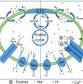 Mitochondrial permeability transition pore