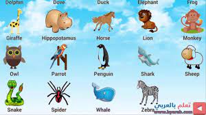 تعلم اسماء الحيوانات بالانجليزي للاطفال بطريقة ممتعة تعلم اللغة الانجليزية learn names an comics peanuts comics art