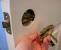Clipart Broken Door Knob