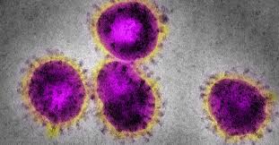 Coronavirus Cuanto Tiempo Puede Sobrevivir En Las Superficies