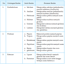 Enzim