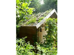 If the construction is not done properly, a multitude of problems will and can occur over the life of your shed. Ancaya Green Roof Garden Shed Greenroofs Com