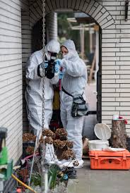 Search for missing berlin teen rebecca reopened. Rebecca Reusch Berlin Der Zeitdruck Fur Die Ermittler Wachst