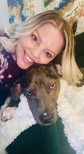 Adopted gingerbread cat DNA results