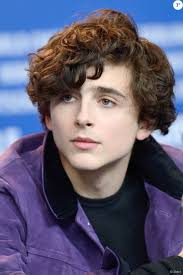 Résultat de recherche d'images pour "timothee chalamet"