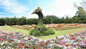 Dani bustanil arifin di tahun 1992, pada. Berlibur Taman Bunga Nusantara Di Puncak Bogor Ini Pilihannya