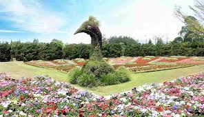 Mulai dari taman bunga nusantara, lokasi glamping highland park resort, sampai leuwi lieuk yang secantik angel's billabong. Berlibur Taman Bunga Nusantara Di Puncak Bogor Ini Pilihannya
