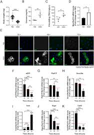 Domeless receptor loss in fat body tissue reverts insulin resistance  induced by a high-sugar diet in Drosophila melanogaster | Scientific Reports