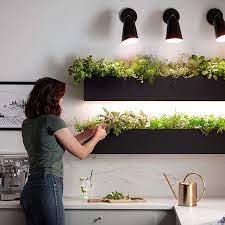Add Some Small Plants Or Herbs To A Shelf That Goes Along The Entire Kitchen Likely Need Extra Ligh In 2021 Grow Lights For Plants Indoor Grow Lights Grow Lights