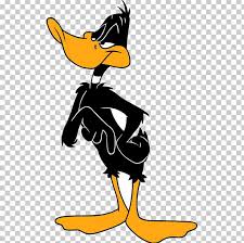 Thanksgiving daffy duck funny cartoon. Daffy Duck Bugs Bunny Donald Duck Porky Pig Daisy Duck Png Clipart Artwork Beak Bird Black