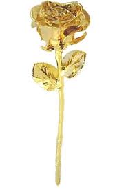 Buying sapphire and diamond engagement rings. Gold Dipped Rose Real Gold Rose Gold Dipped Rose Gold Beauty Gold
