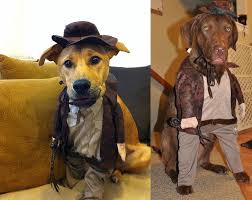 Indiana Jones Dog Costume Dog Costume Indiana Jones Dog Costumes
