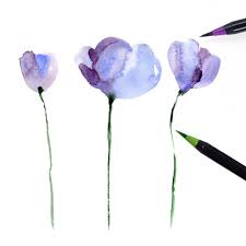 This will give the effect that watercolor paint provides by giving a lighter shade of the ink you first applied. Flower Drawing With Markers