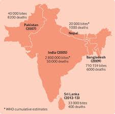 First aid snake bite firstcare101 firstaidkit firstaid. The Timing Is Right To End Snakebite Deaths In South Asia The Bmj