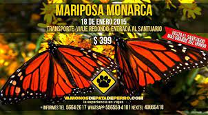 Mariposa Monarca Mariposa Monarca 18 De Enero 1 De Febrero 399 Adulto 329 Ninos Preventa Clientes Hasta El 4 De Enero De 2015 Precio Normal 460 Incl