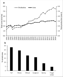 Image result for Eragrostis aethiopica