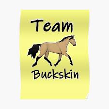 Buckskin horses for sale rare horses dressage horses wild horses rare horse colors horse coat colors horse photos horse pictures most beautiful horses. Buckskin Horse Posters Redbubble