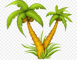 Explore more searches like pokok kelapa photoshop. Kelapa Pohon Gambar Gambar Png