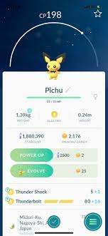 The pokedex contains everything you need to know about pokemon: Pichu Hatched From Alolan Egg When Did This Change Thesilphroad