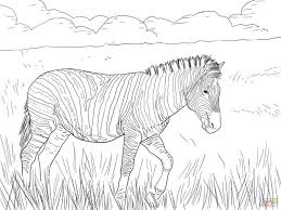 They can be seen grazing on fields and grasslands, giving you the opportunity to play with your greens and yellows. Pin On Coloring Pages For Kids