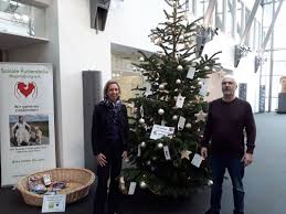 Im gewerbepark 28 c 93059 regensburg germany. Weihnachtsbaume Bei Den Hypovereinsbanken Prufening Und Hemauerstrasse Futterstelle Regensburg Futter Fur Tiere In Not