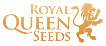 Royal Queen Seeds Review 2019 Royal Queen Seeds Online Dutch Seed Shop Amsterdam The Netherlands Royal Queen Queen Seed Shop