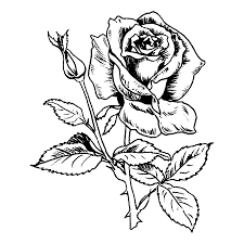 Pin By Mee Sook Kim On Coloring Pages Flower Tattoo Animal Tattoo Tattoos
