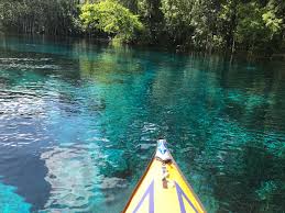 Don't waste your money getting a tour just go to the state park and rent them there. Silver Springs Fl Unfortunately I Did Not See The Monkeys Along The River Kayaking