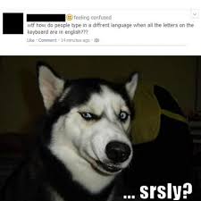 I Always Wondered Smh Funny Animal Memes Funny Dog Pictures Funny Animal Photos