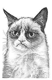 Grumpy Cat Has An Agent And Now A Movie Deal Wsj