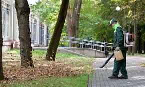We found 563 results for landscaping services in or near bradenton, fl. Sarasota Landscaping Services Bradenton Tree Service