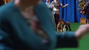 Best In Show
