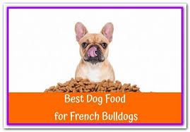 How many calories does my bulldog need? Best Dog Food For French Bulldog Philippines Best Dog Foods For French Bulldog Puppies Verus Puppy Adva Best Organic Dog Food Best Dog Food Organic Dog Food